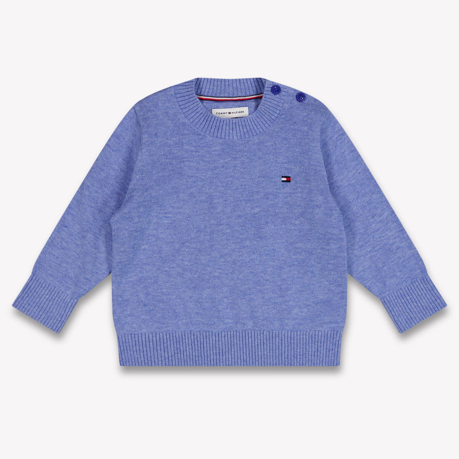 Tommy Hilfiger Baby Boys Sweater in Blue