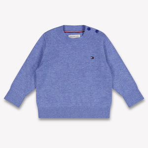 Tommy Hilfiger Baby Boys Sweater In Blue
