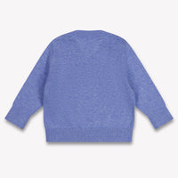Tommy Hilfiger Baby Boys Sweater In Blue