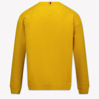 Tommy Hilfiger Kids Boys Sweater In Yellow