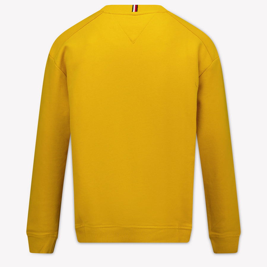 Tommy Hilfiger Kids Boys Sweater In Yellow