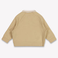 Tommy Hilfiger Baby Boys Sweater In Beige