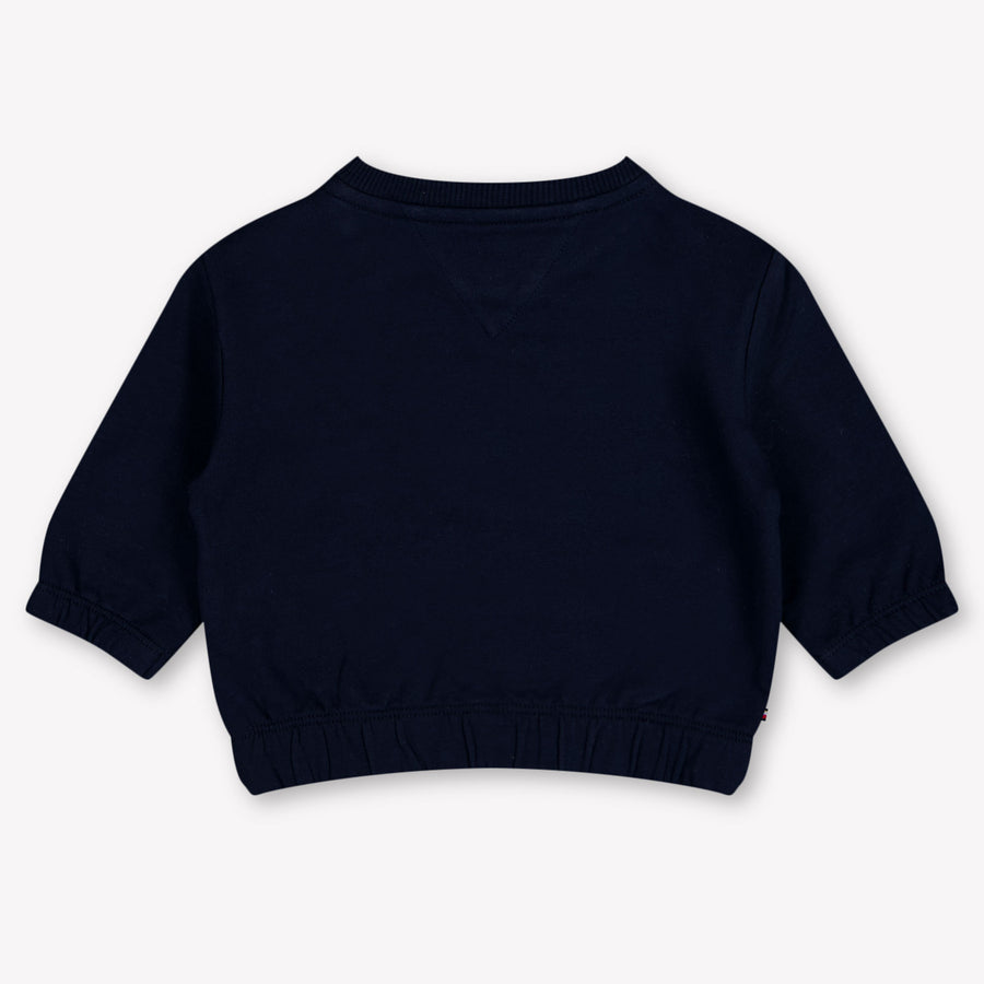 Tommy Hilfiger Baby Boys Sweater In Navy