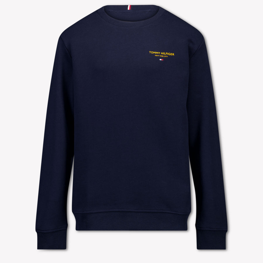 Tommy Hilfiger Kids Boys Sweater In Navy