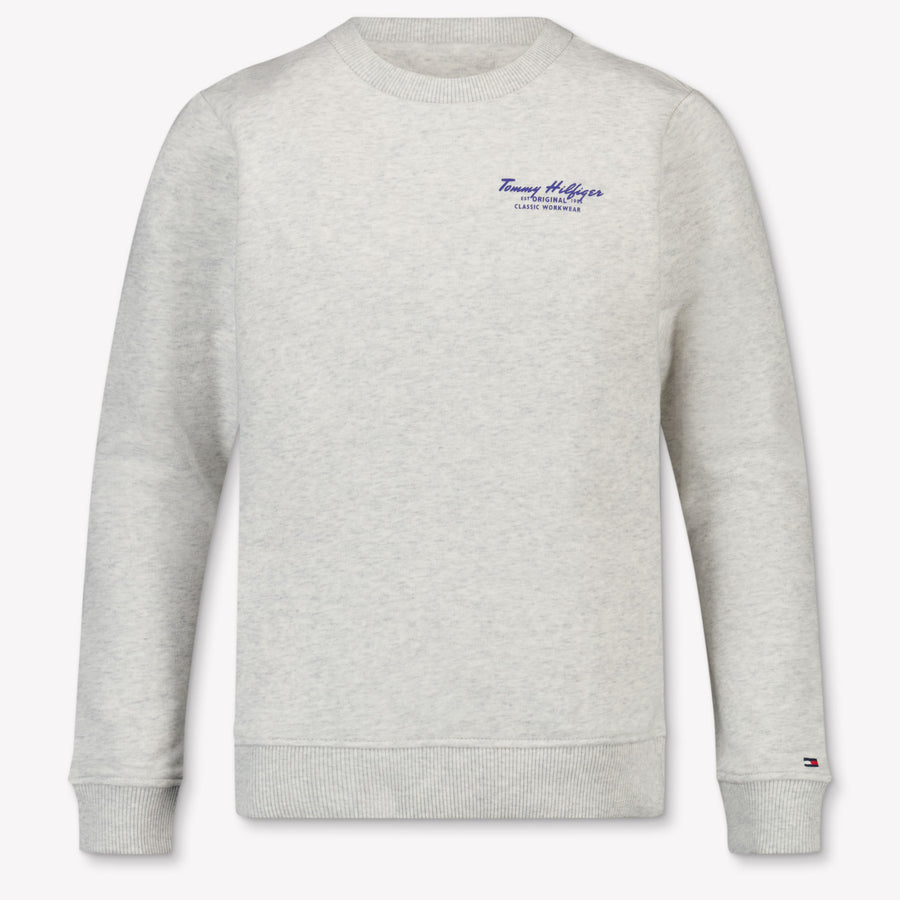 Tommy Hilfiger Kids Boys Sweater In Gray