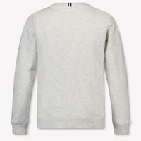 Tommy Hilfiger Kids Boys Sweater In Gray