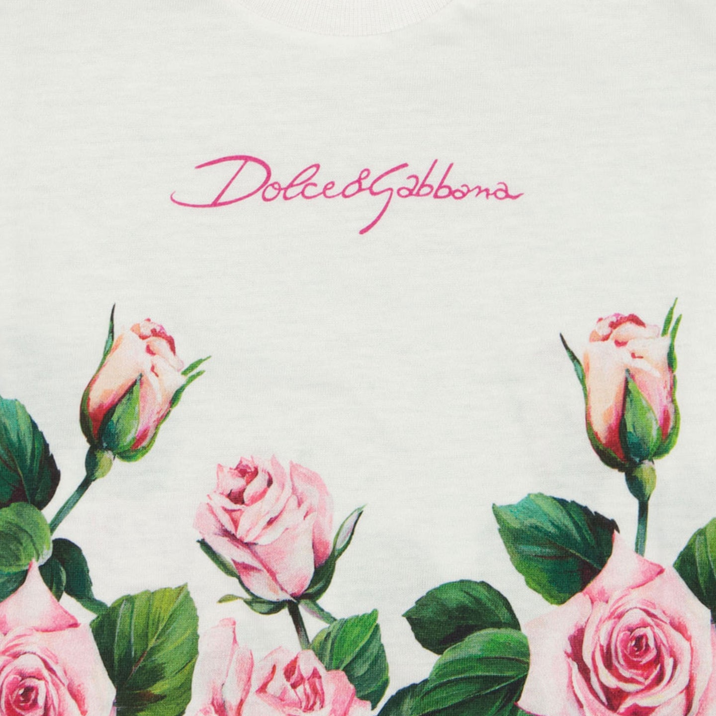 Dolce & Gabbana Baby Meisjes T-Shirt In Wit