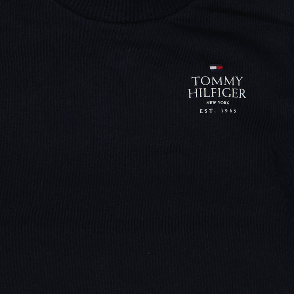 Tommy Hilfiger Baby boys sweater Navy