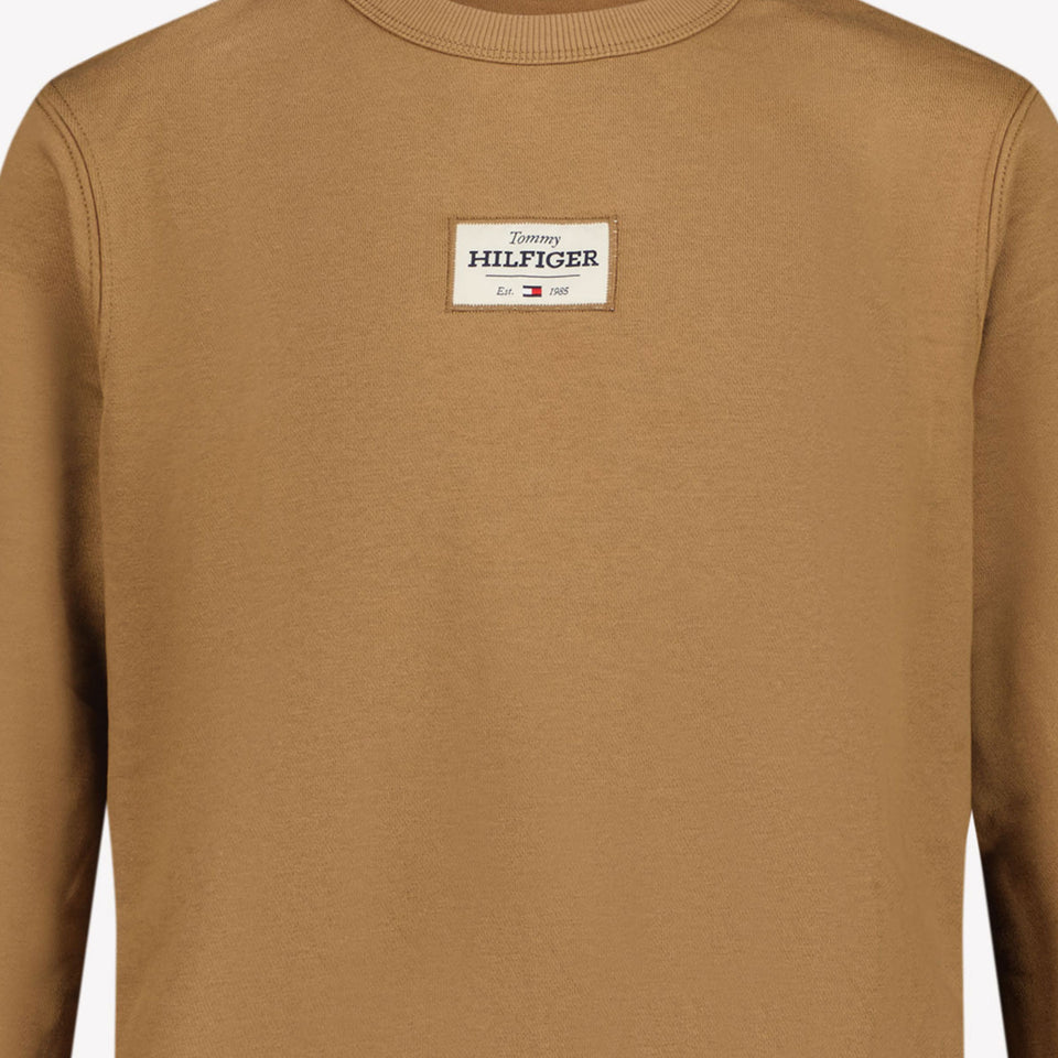 Tommy Hilfiger Children's boys sweater Camel