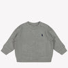 Ralph Lauren Baby Boys Sweater  Light Gray