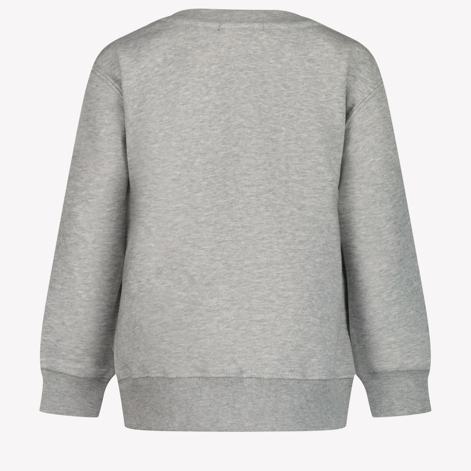 Ralph Lauren Boys sweater Light Gray