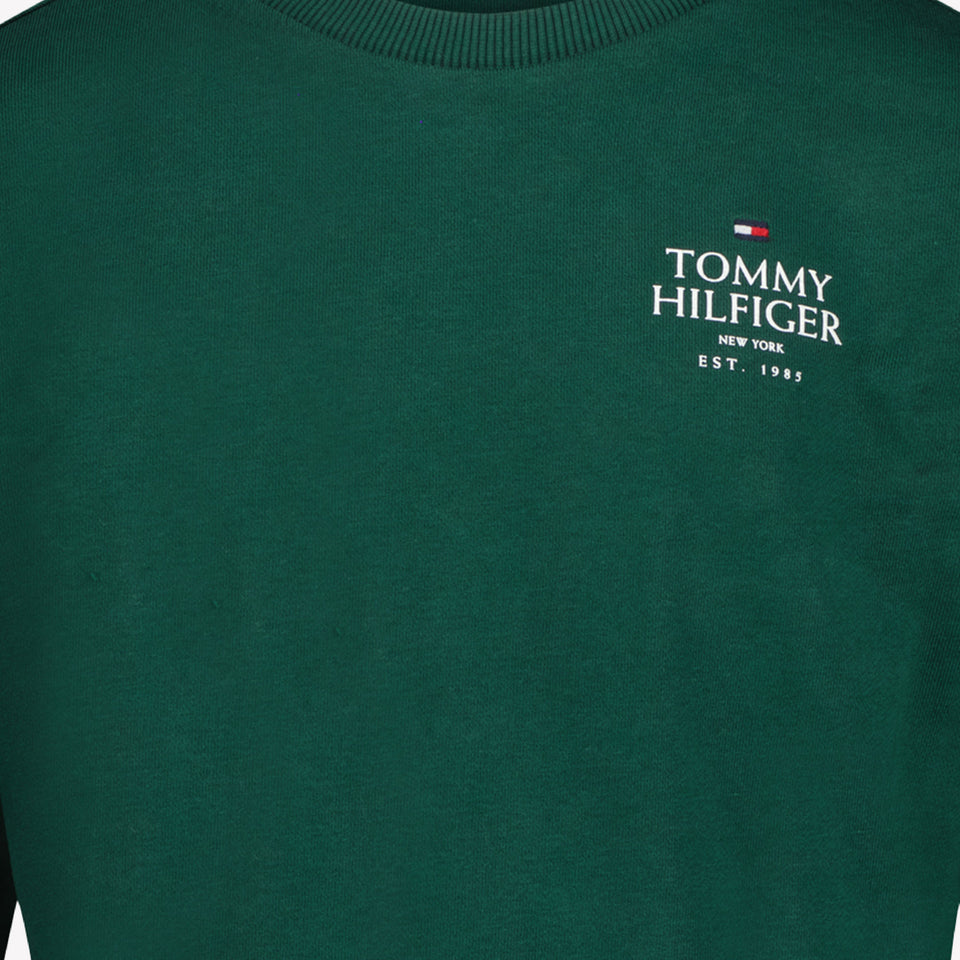 Tommy Hilfiger Boys sweater Green