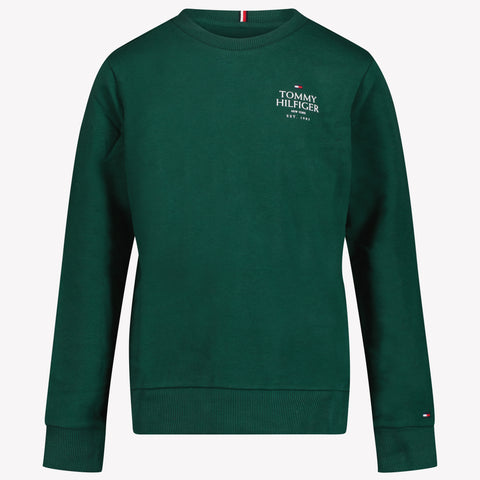 Tommy Hilfiger Boys sweater Green