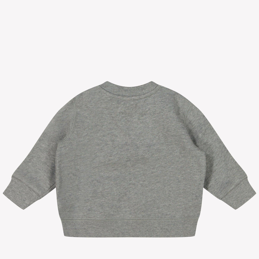 Ralph Lauren Baby Jongens Trui In Licht Grijs