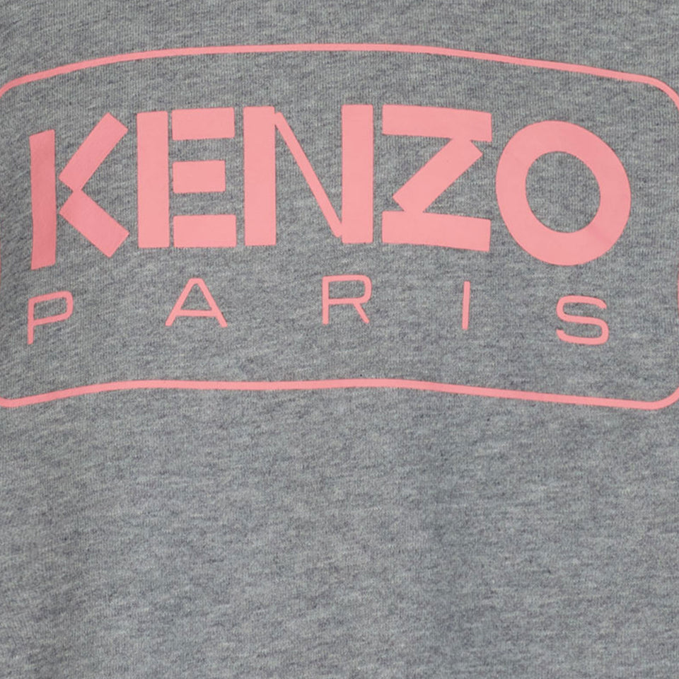 Kenzo Kids Meisjes Trui Grijs