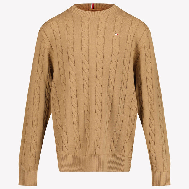 Tommy Hilfiger Kids Boys Sweater Camel